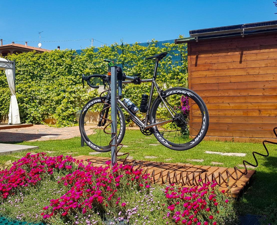 La Mimosa - Bike Friendly Home Rosignano Solvay Buitenkant foto